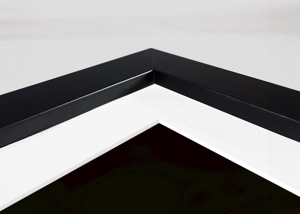 Blomsterhoveder af silkeplanten 