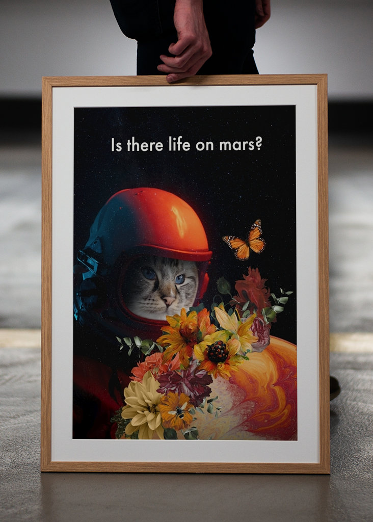 Is there life on mars?