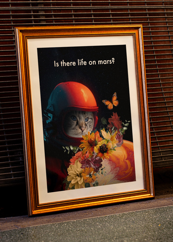 Is there life on mars?