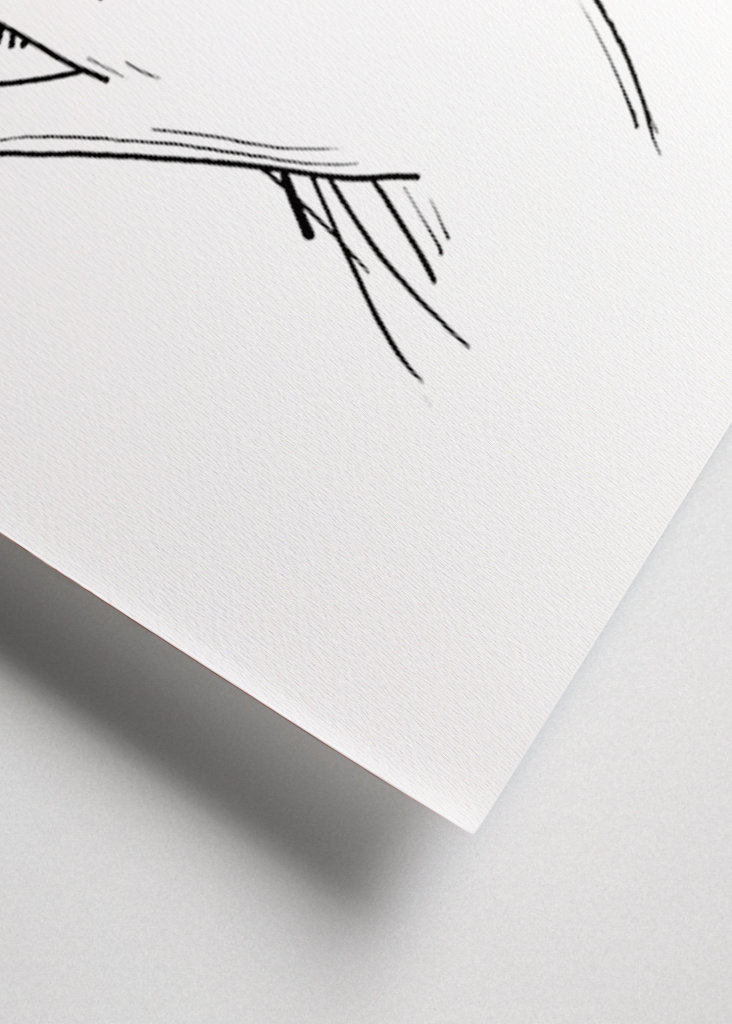 Hånd Wildflower Plukning