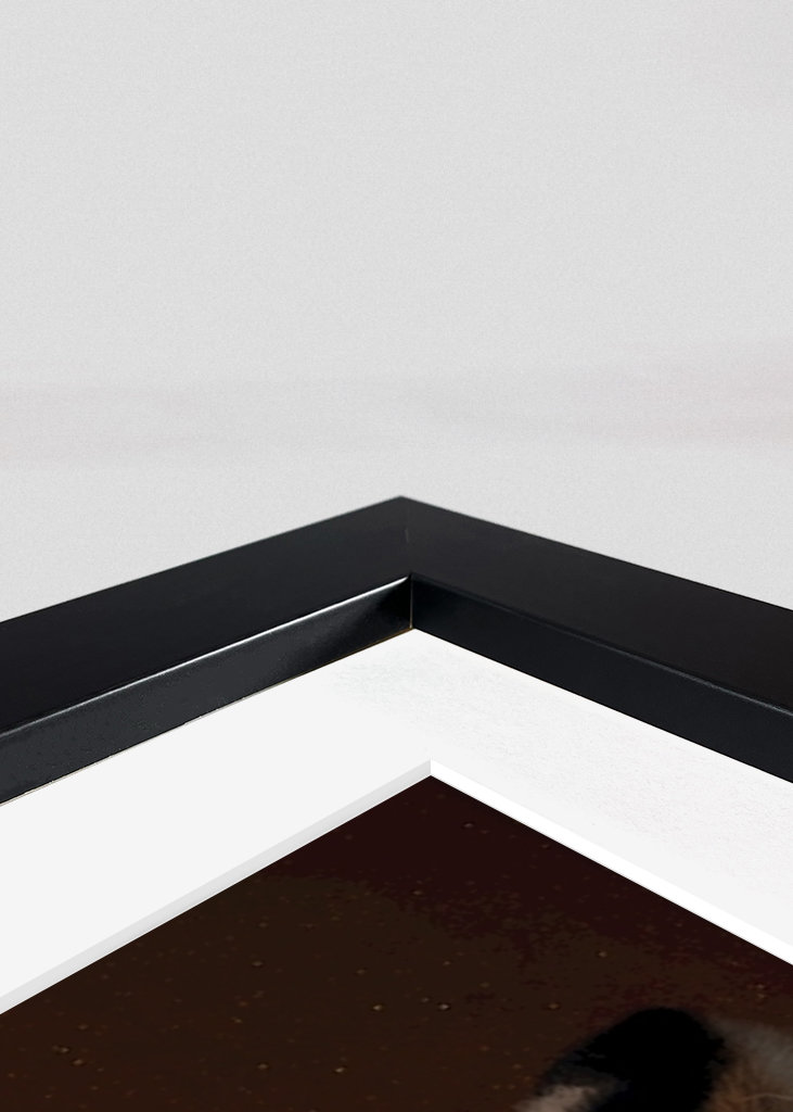 Volání o pomoc (tygři v ohrožení)