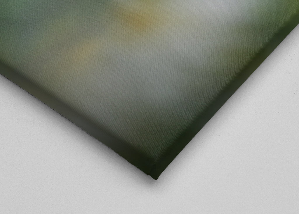 Sedmikráska mezi ostatními