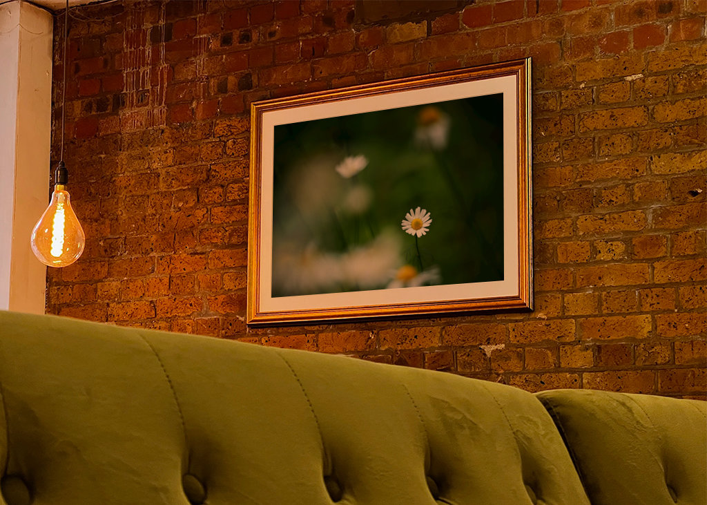 Sedmikráska mezi ostatními