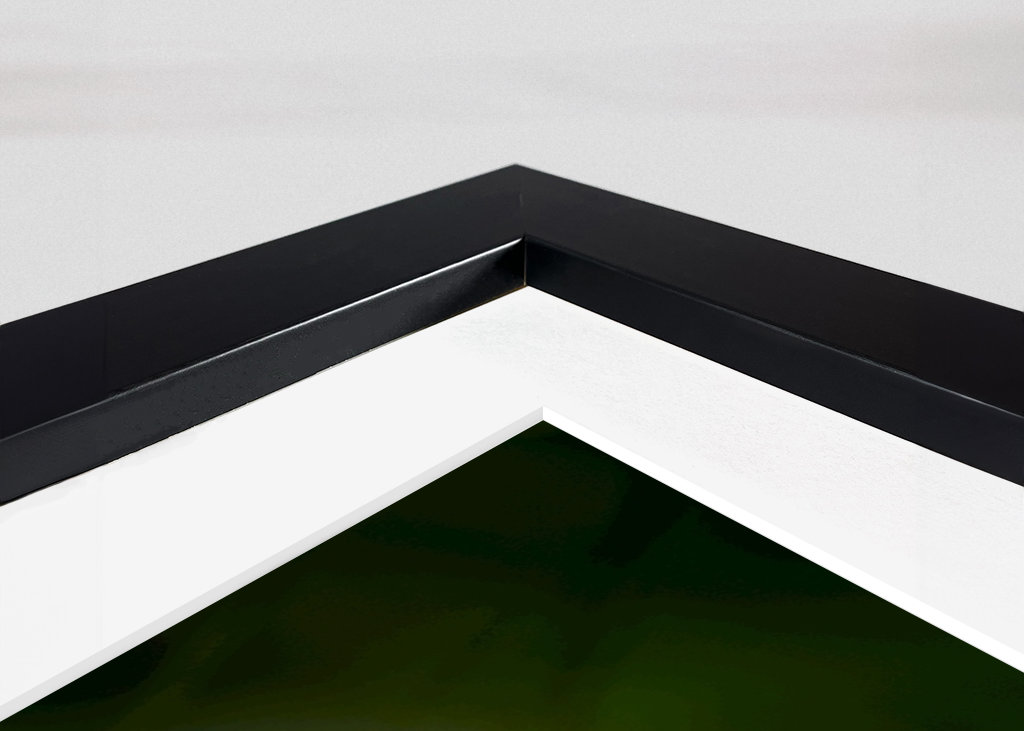 Sedmikráska mezi ostatními