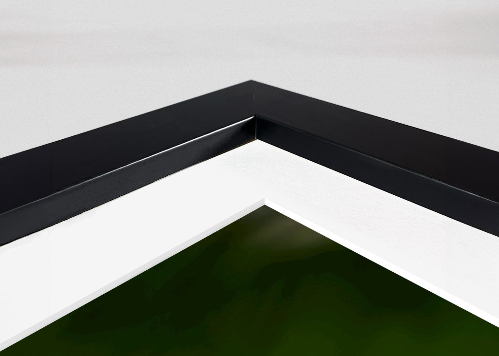 Päivänkakkara muiden joukossa