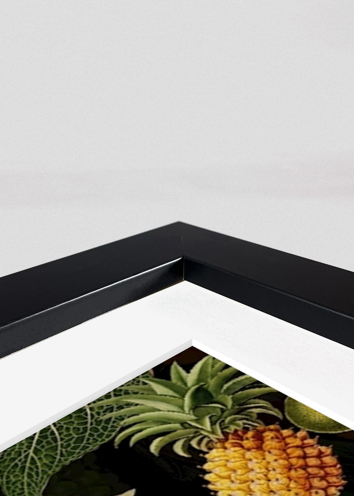  Tropická noční ptačí zahrada