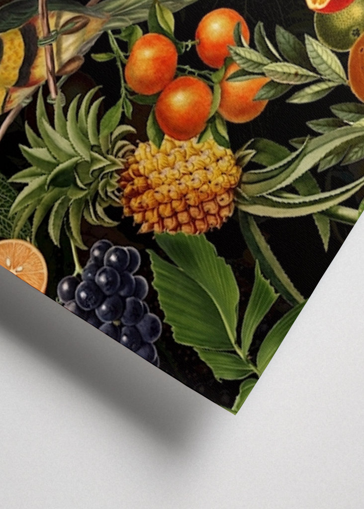  Tropická noční ptačí zahrada