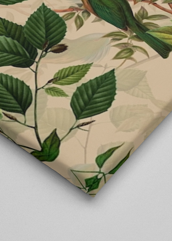 Tropikalny ogród ptaków