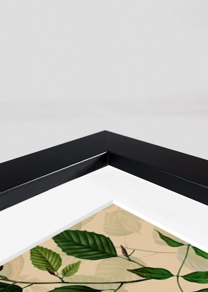 Tropikalny ogród ptaków