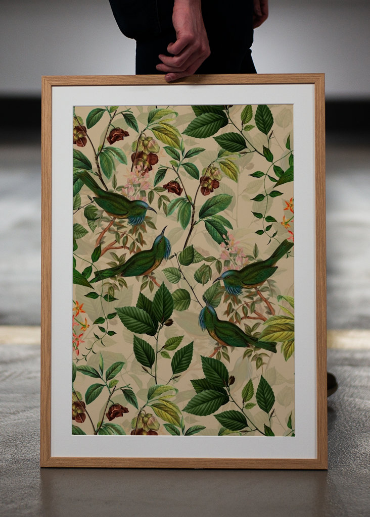 Tropikalny ogród ptaków