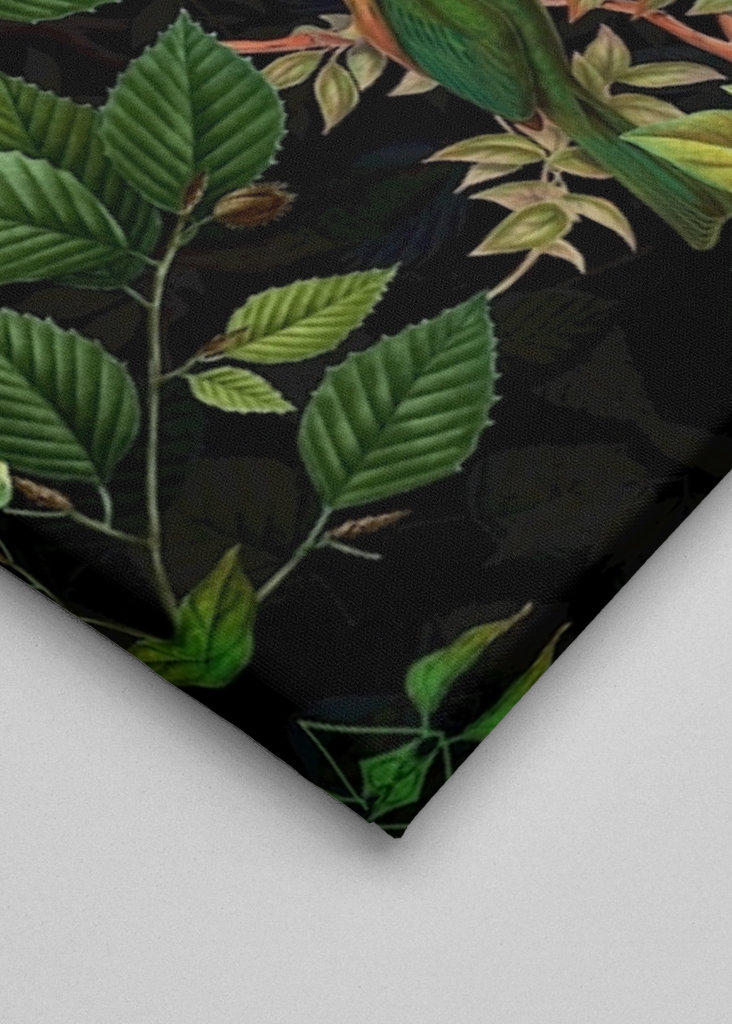 Tropikalny ptak nocny Dżungla