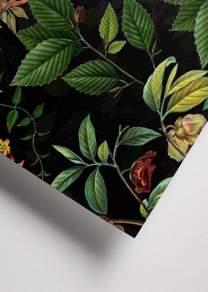 Tropikalny ptak nocny Dżungla