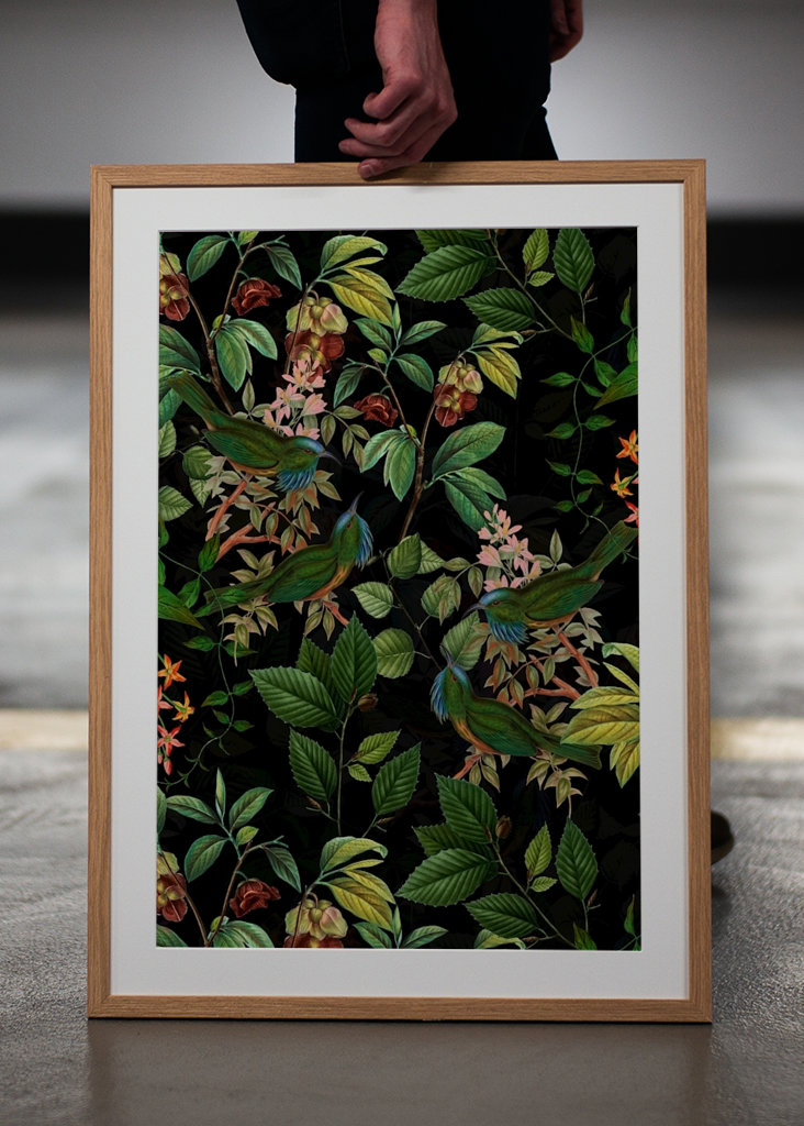 Tropikalny ptak nocny Dżungla