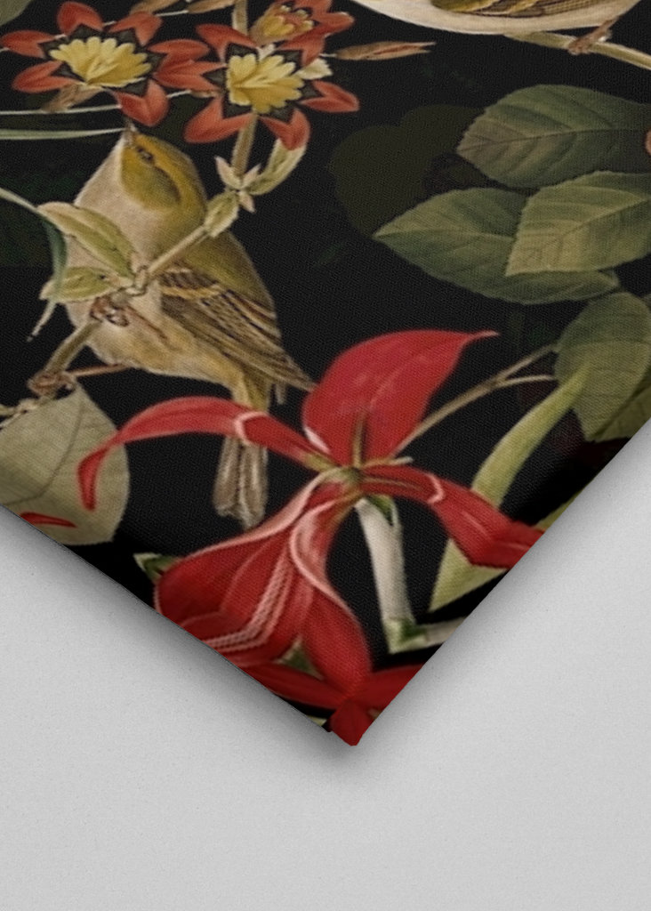 Půlnoční zahrada džungle