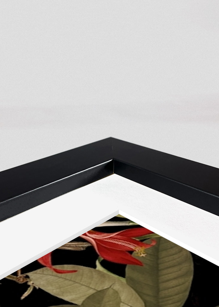 Půlnoční zahrada džungle