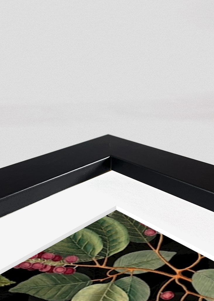 Ogród dżungli o północy 