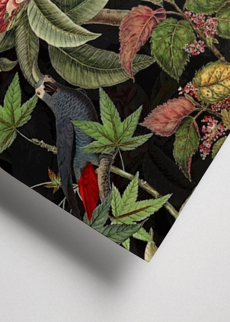 Ogród dżungli o północy 