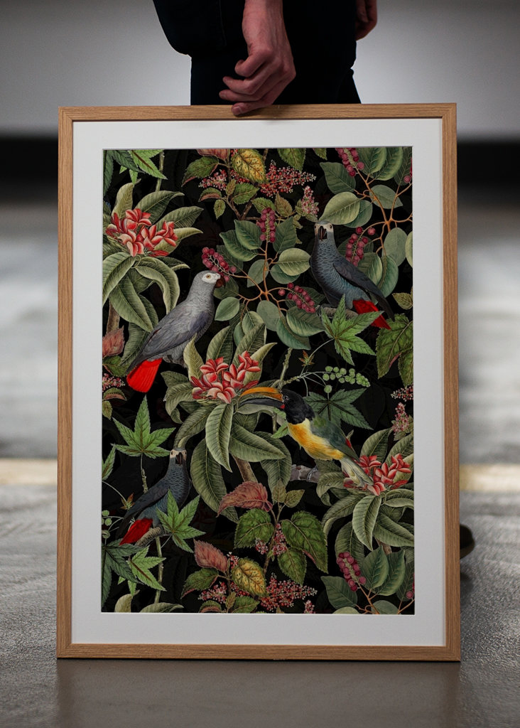 Ogród dżungli o północy 