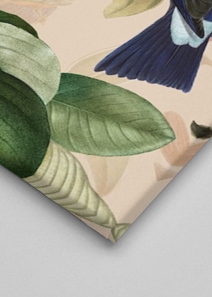 Tropikalny ogród ptaków