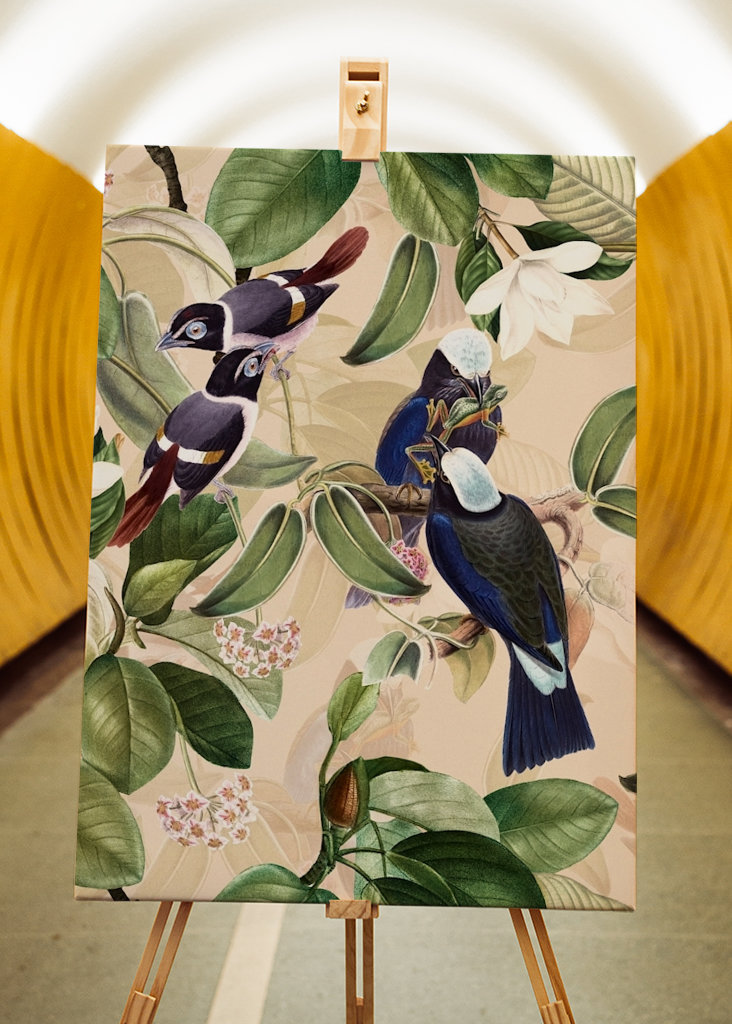 Tropikalny ogród ptaków