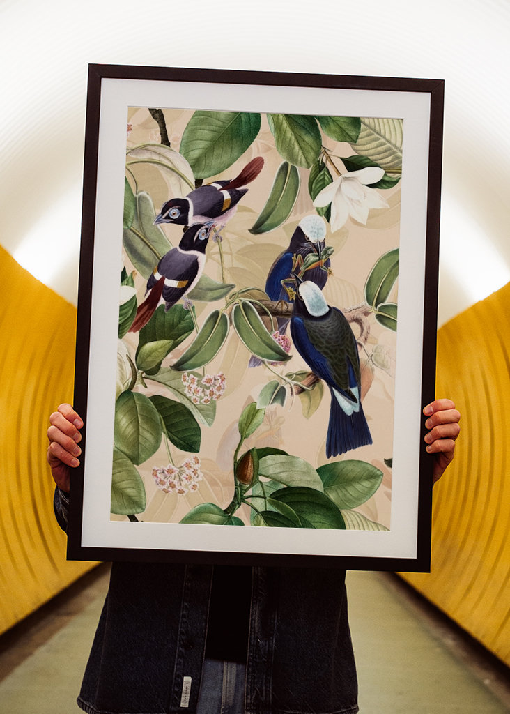 Tropikalny ogród ptaków