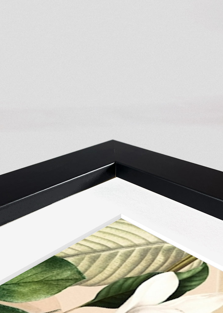 Tropikalny ogród ptaków