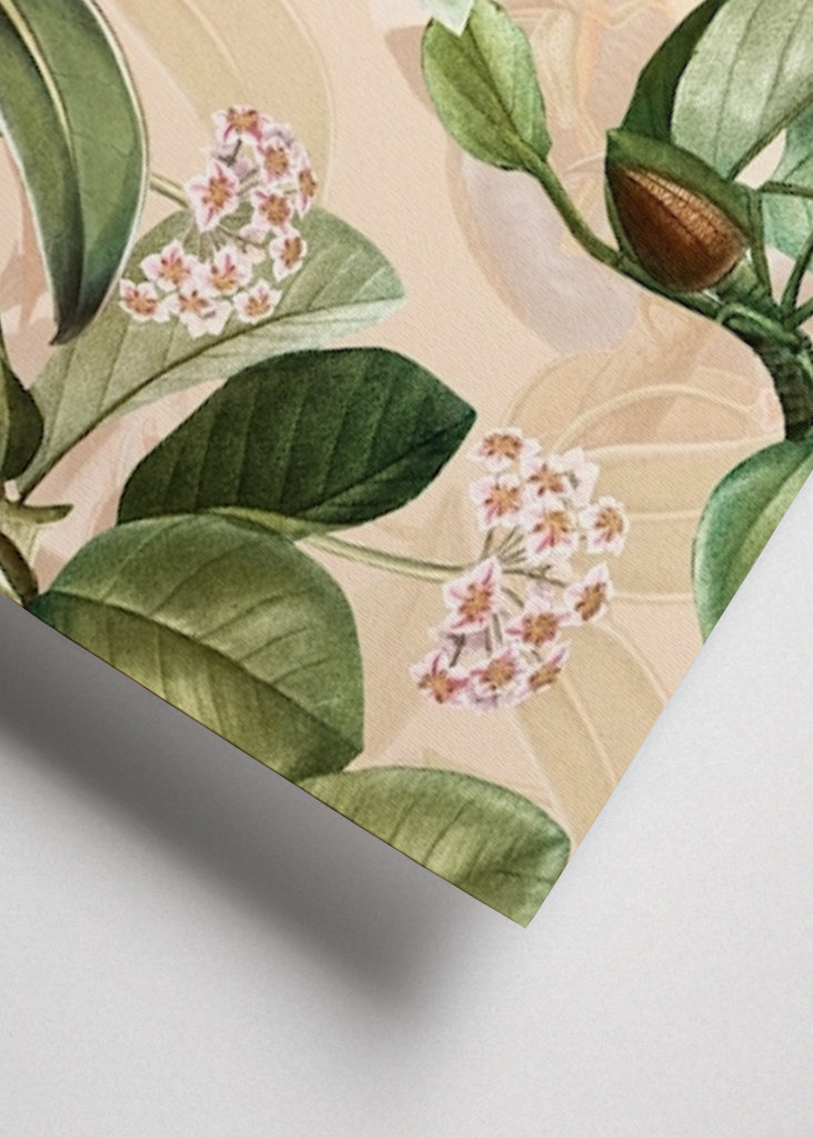 Tropikalny ogród ptaków