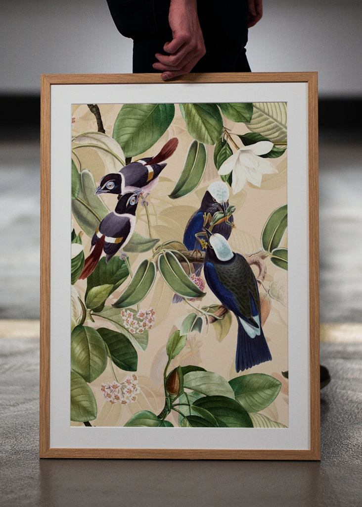 Tropikalny ogród ptaków