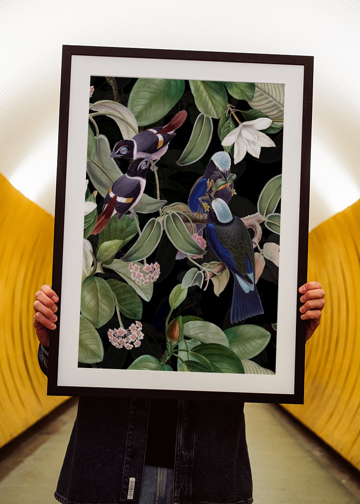 Tropical Night Birds Garden