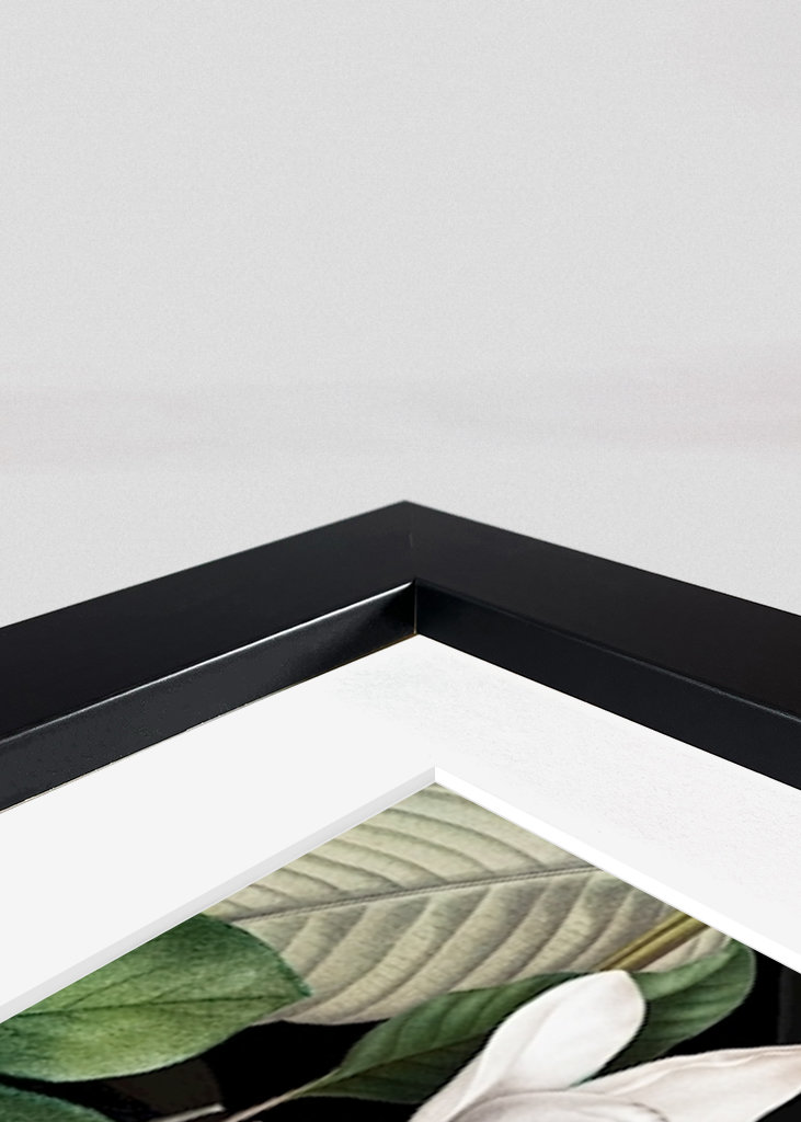 Tropical Night Birds Garden