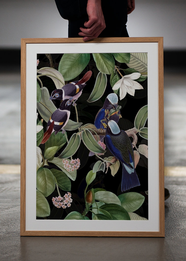 Tropical Night Birds Garden