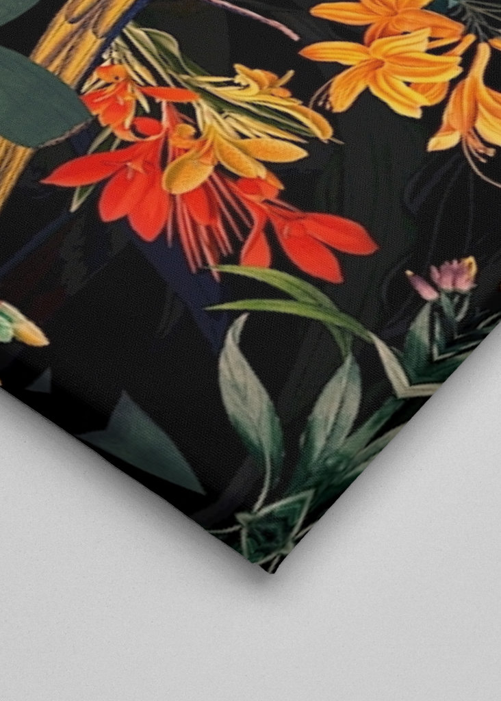 Ogród papug o północy