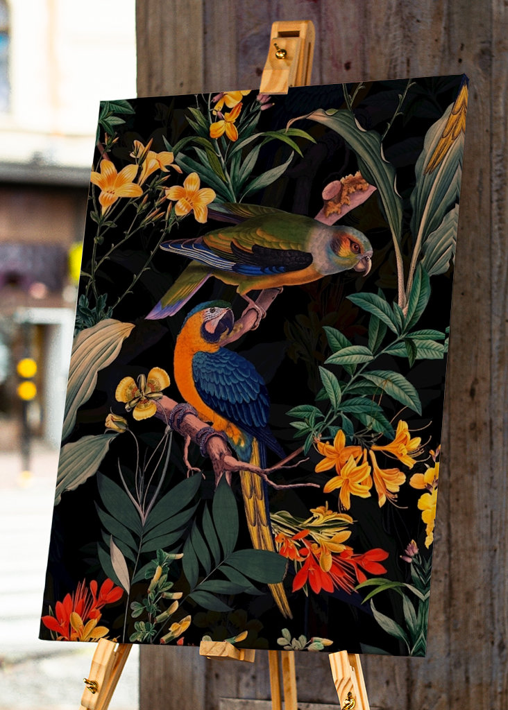 Ogród papug o północy