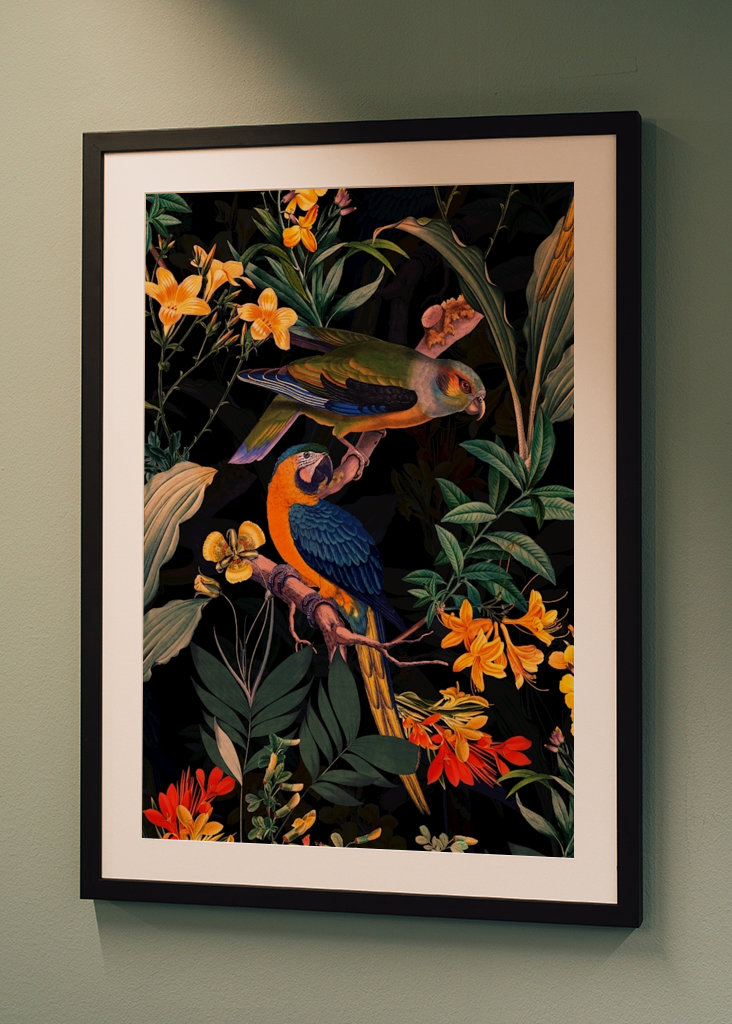 Ogród papug o północy