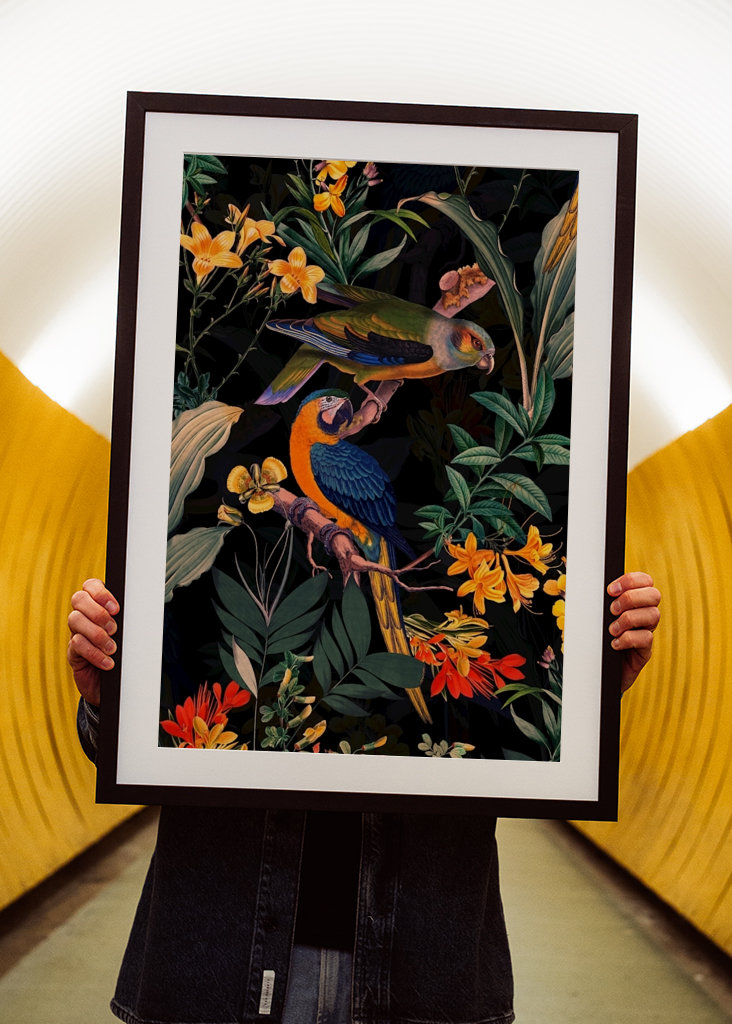 Ogród papug o północy