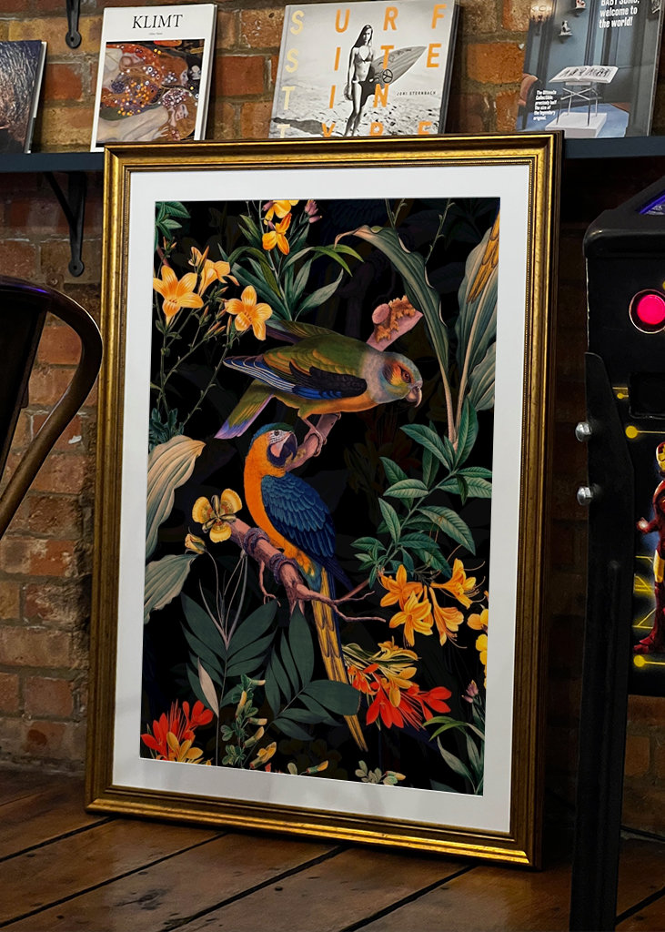 Ogród papug o północy