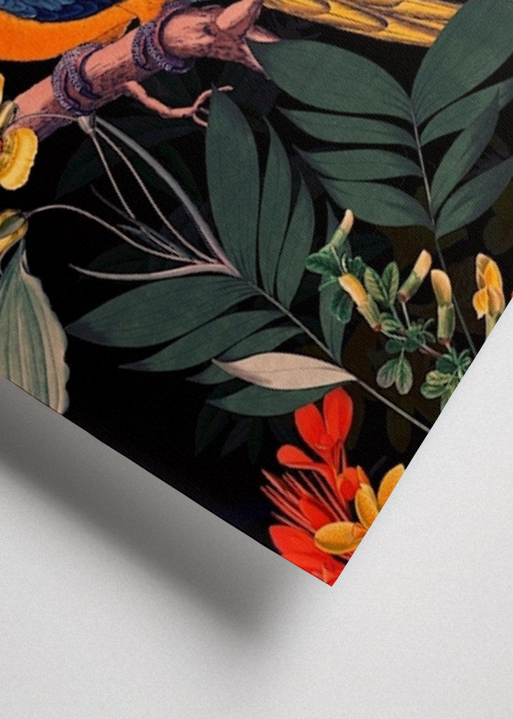 Ogród papug o północy