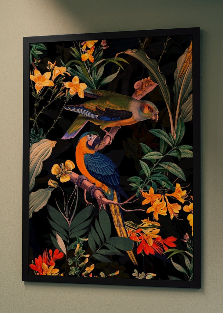 Ogród papug o północy