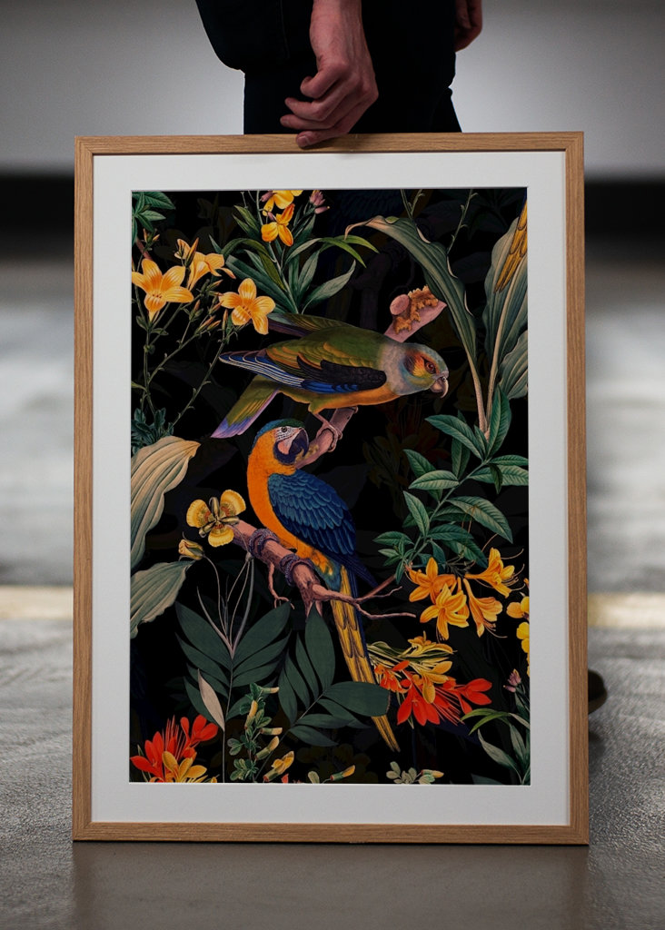 Ogród papug o północy