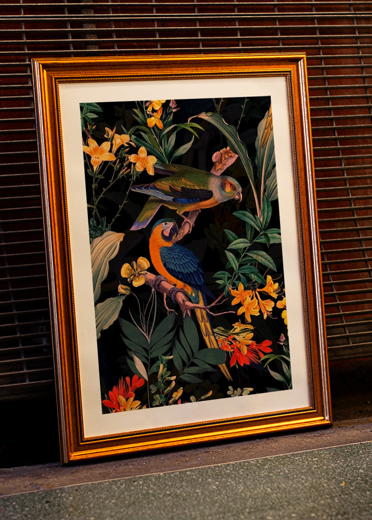 Ogród papug o północy