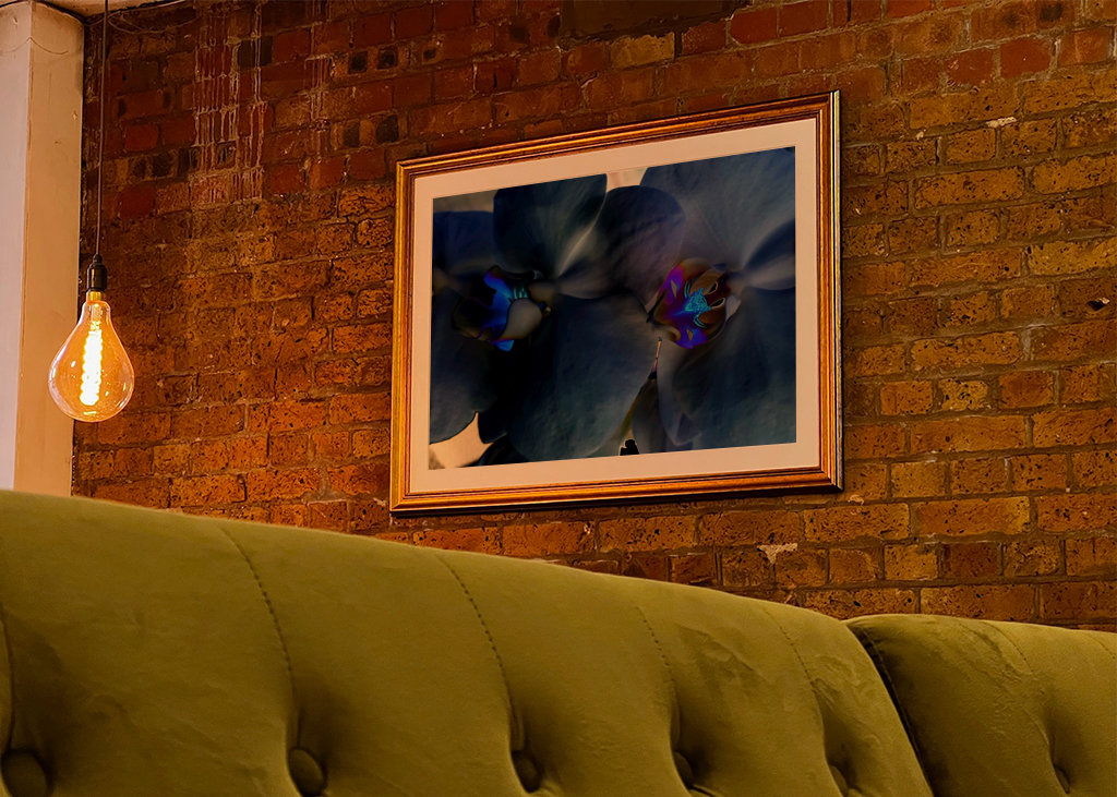 Zbierka flóry; Modrá orchidea