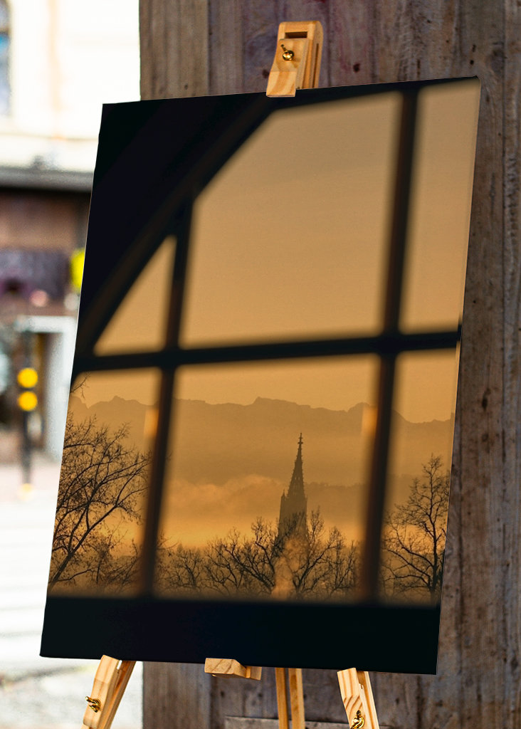 Aussicht aus meinem Fenster