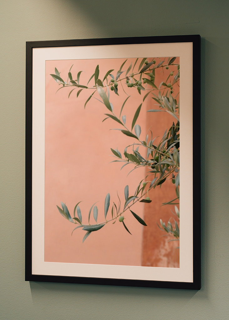 Olivengrene botanisk tryk