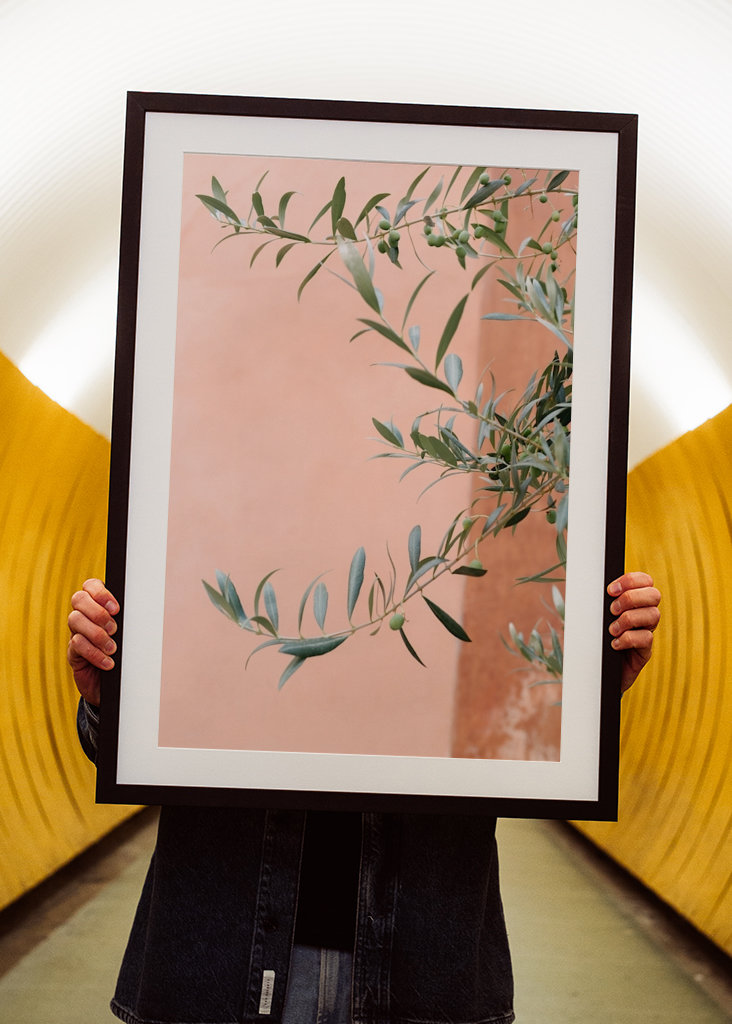 Olivengrene botanisk tryk