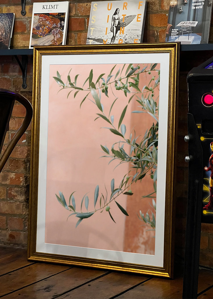 Olivengrene botanisk tryk