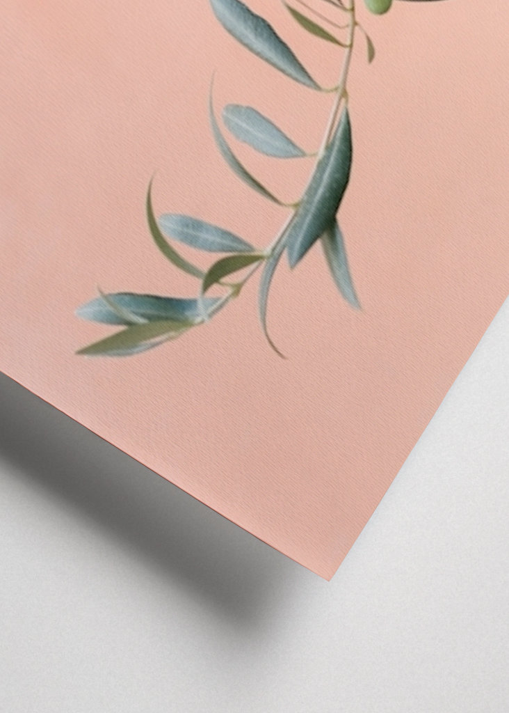 Olivengrene botanisk tryk