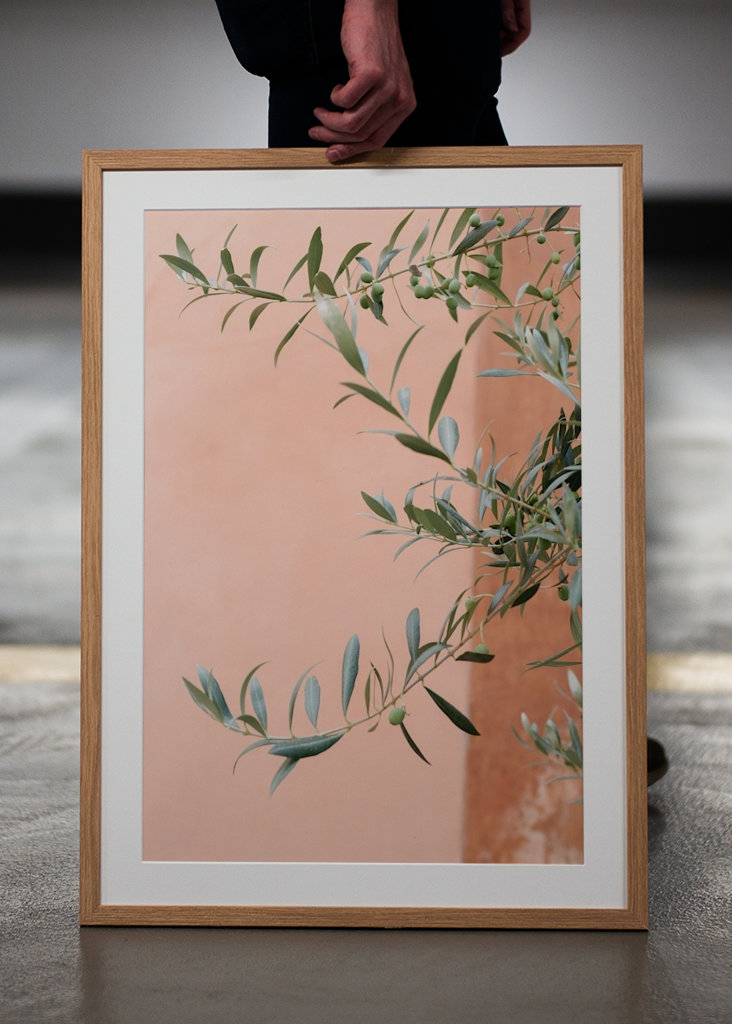 Olivengrene botanisk tryk