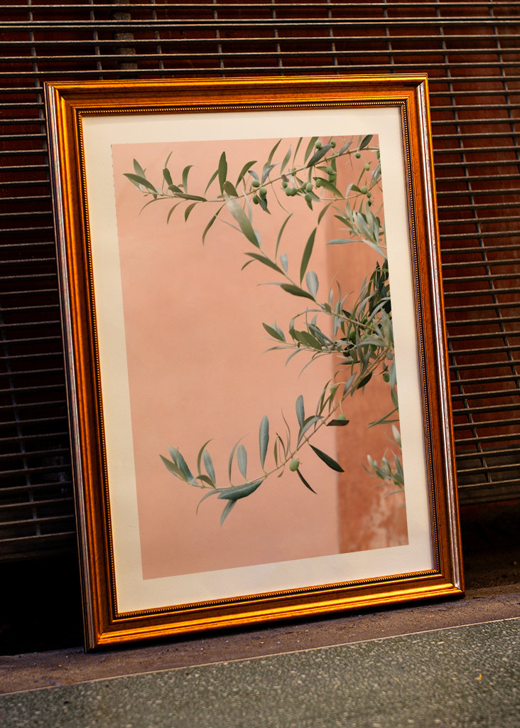 Olivengrene botanisk tryk