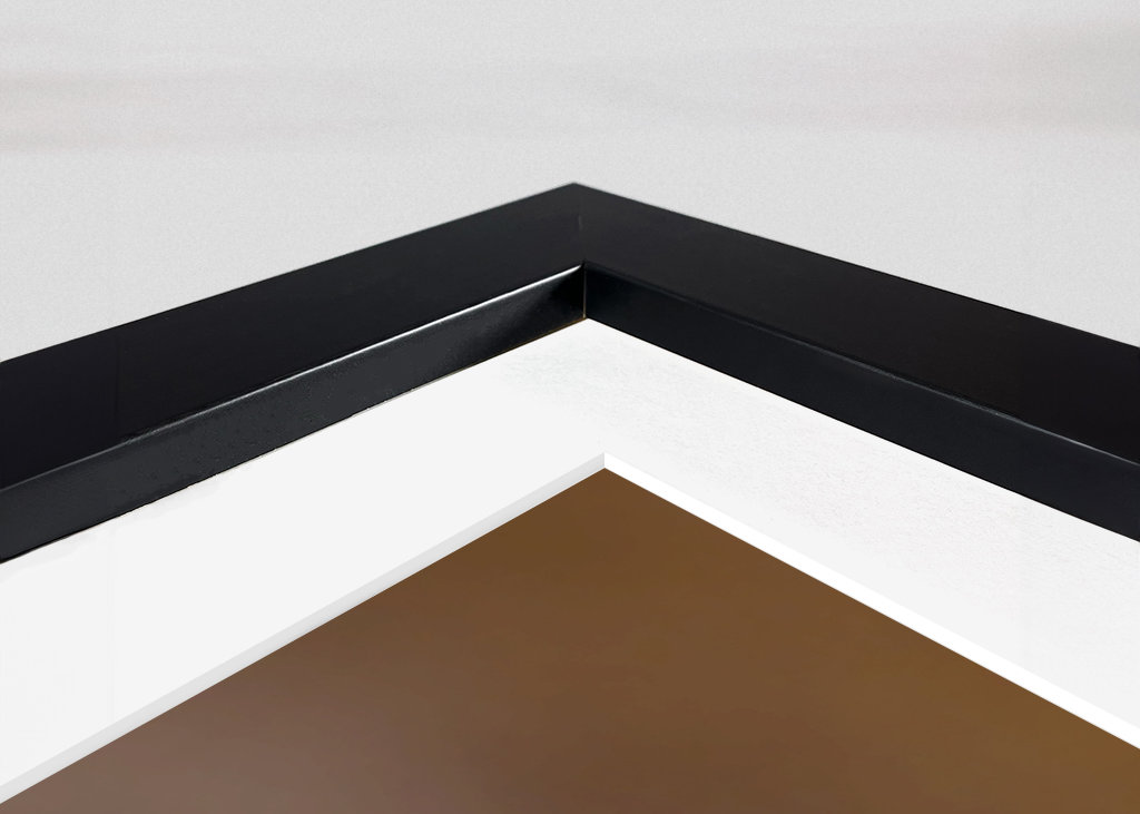 Námluvy tetřívka v magickém světle