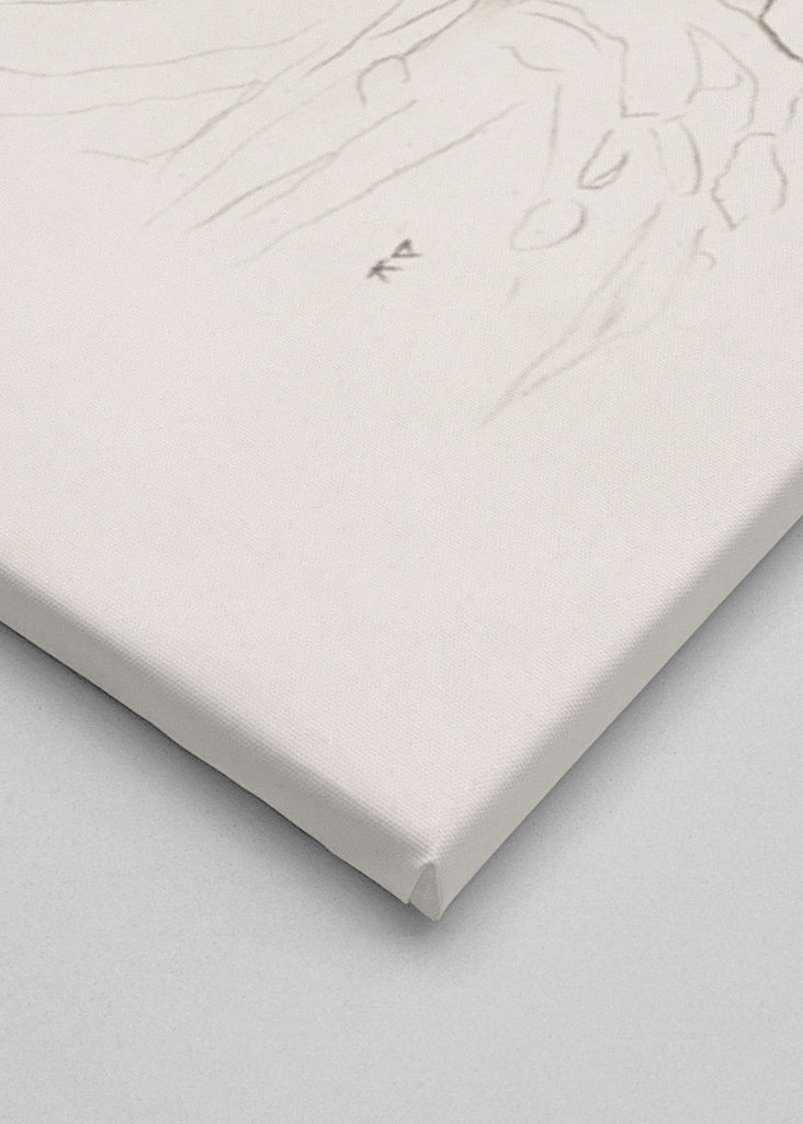 Yoda Star Wars - Drawing